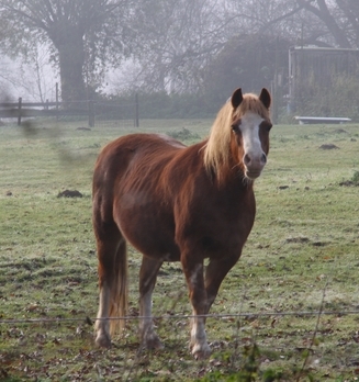 Klik op de foto voor het laatste nieuws!
